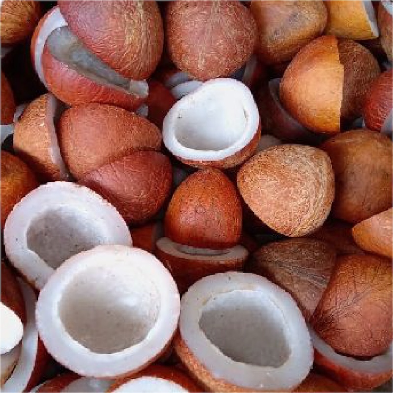 Premium quality dried coconuts, sourced directly from southern Indian states