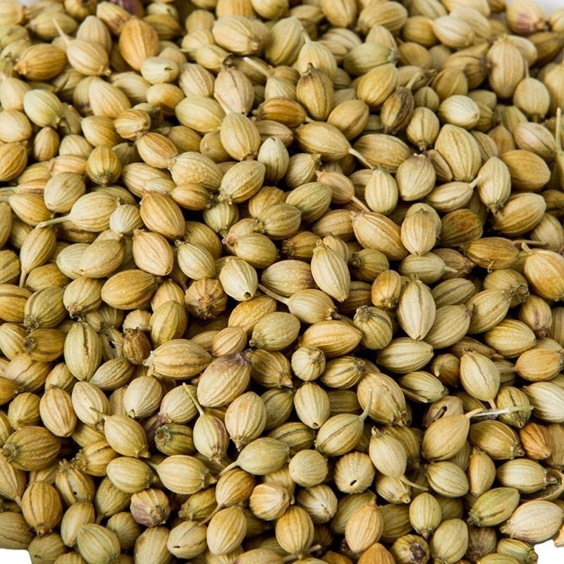 Premium quality coriander seeds, sourced directly from the farmers
